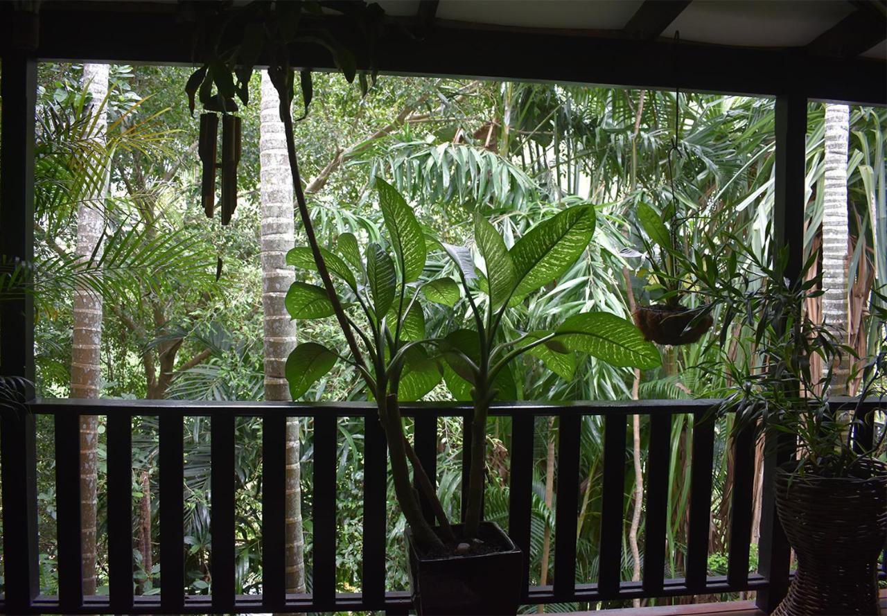Oskar'S Rain Forest Retreat Nelly Bay Экстерьер фото